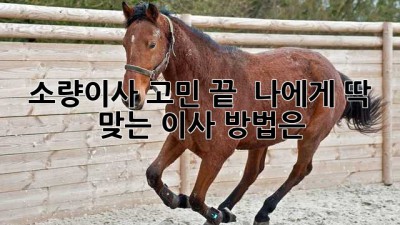 소량이사 고민 끝! 📦 나에게 딱 맞는 이사 방법은?